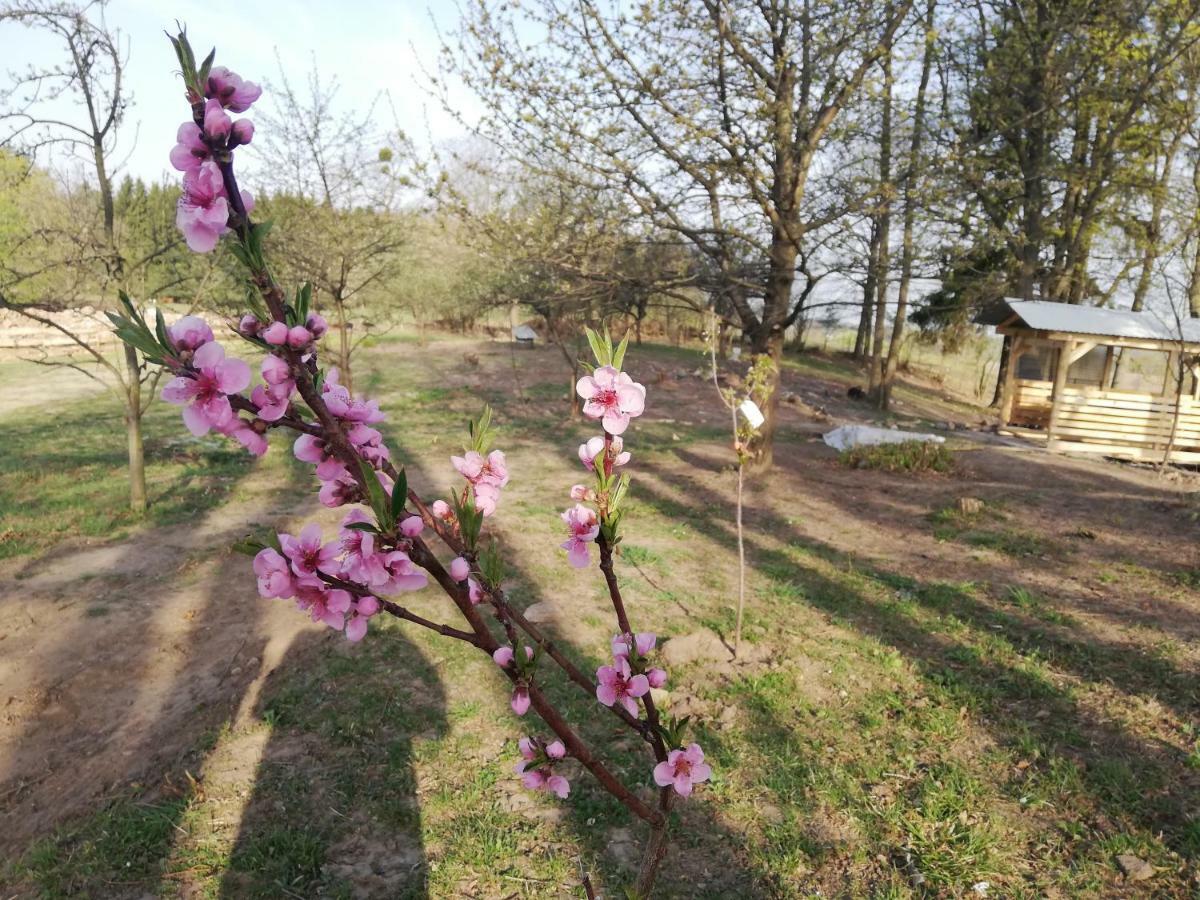 Вилла Zacisze Przy Lesie Рын Экстерьер фото