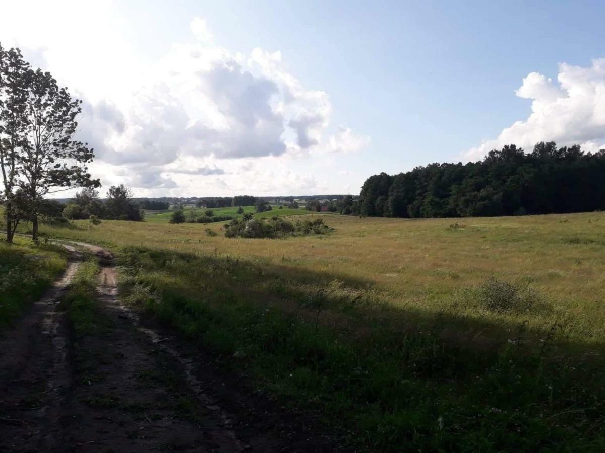 Вилла Zacisze Przy Lesie Рын Экстерьер фото
