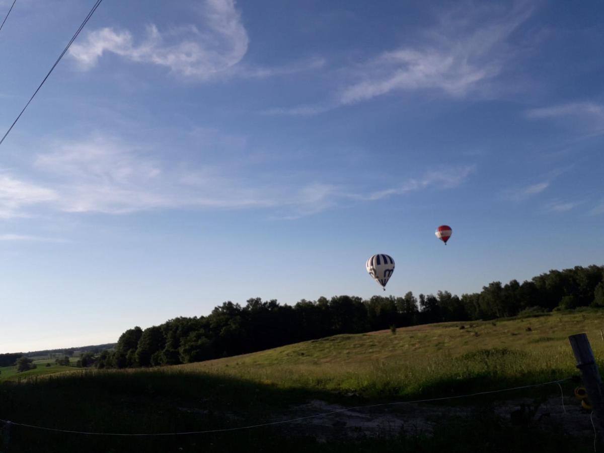 Вилла Zacisze Przy Lesie Рын Экстерьер фото